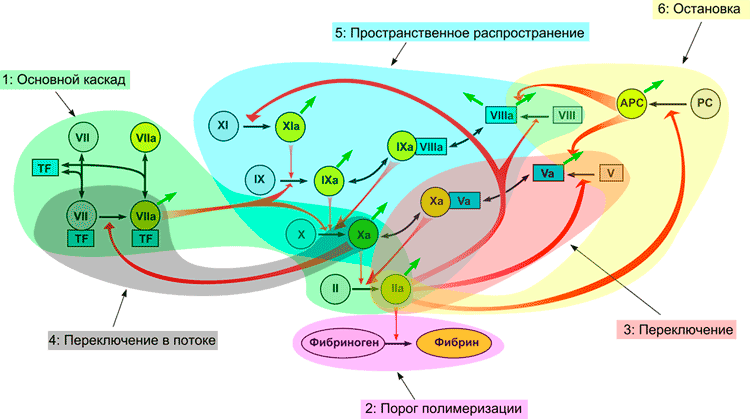 Модульная структура системы свертывания