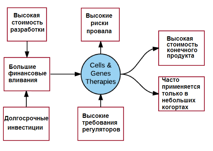 Риски инвестирования в разработку передовой терапии