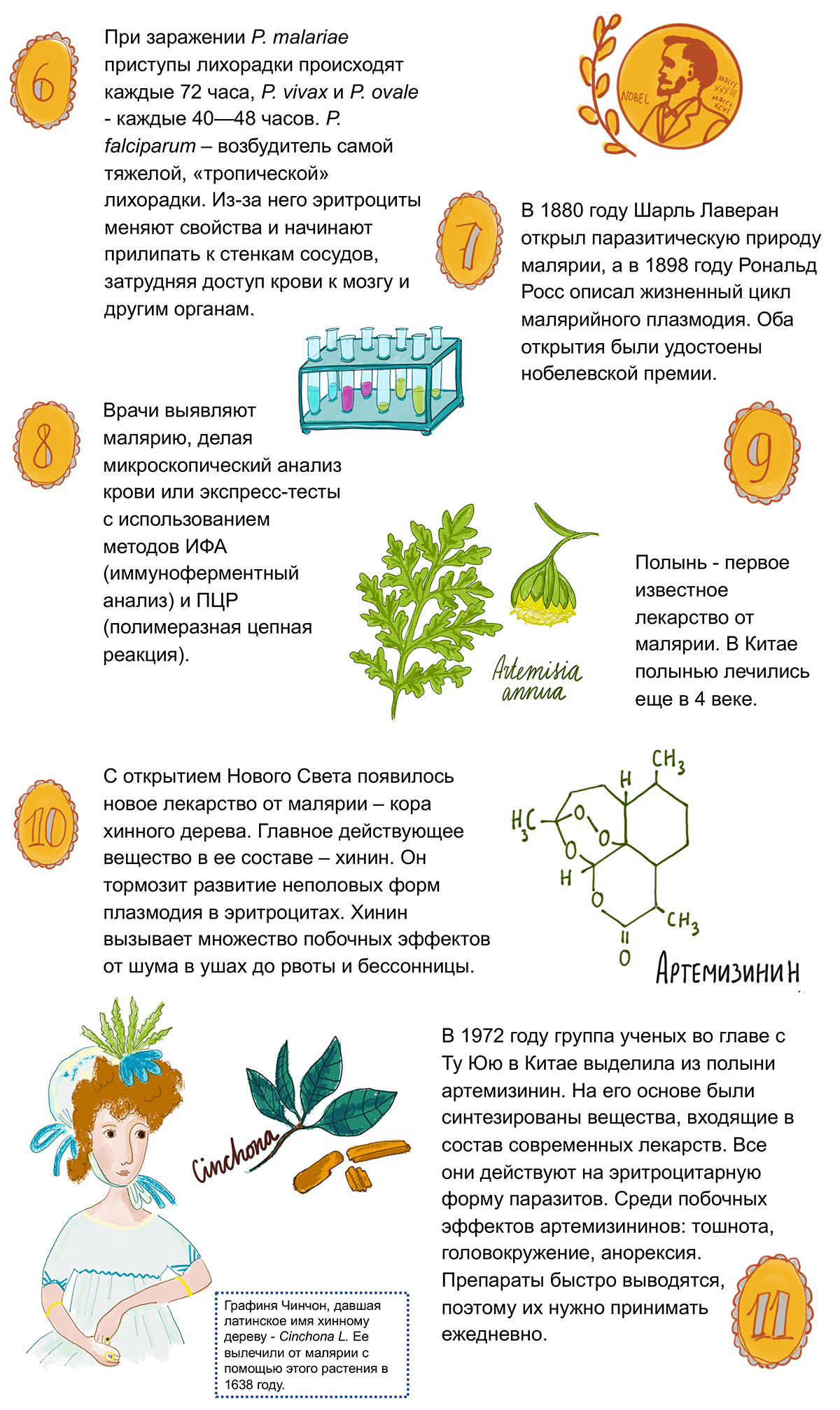 Малярия. 15 фактов о болотной лихорадке