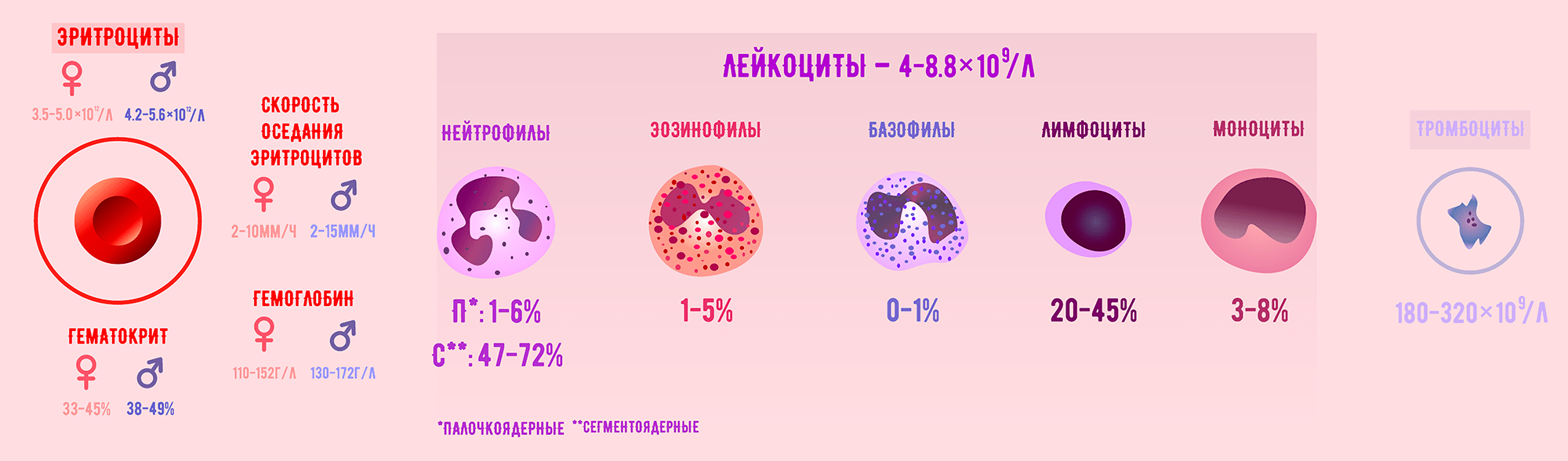 Исследуемые показатели крови