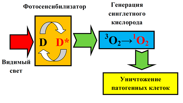 Активные формы кислорода