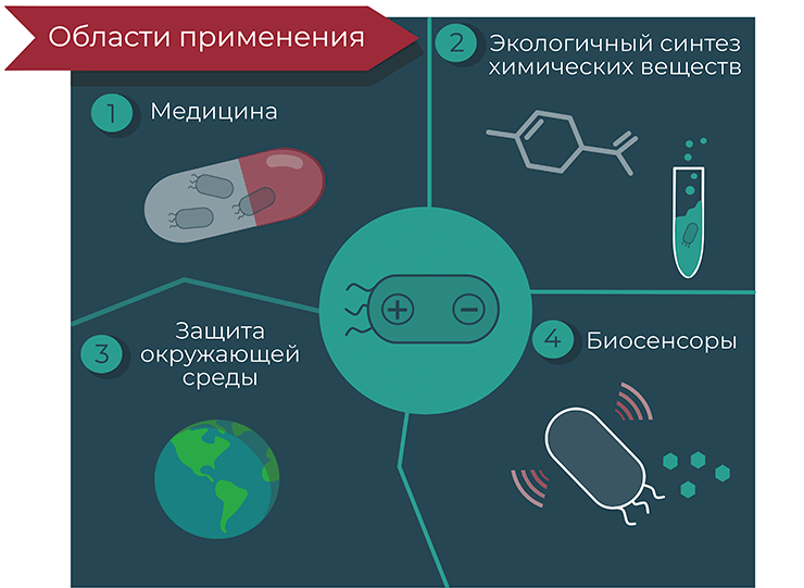 Основные области применения микробиоэлектроники