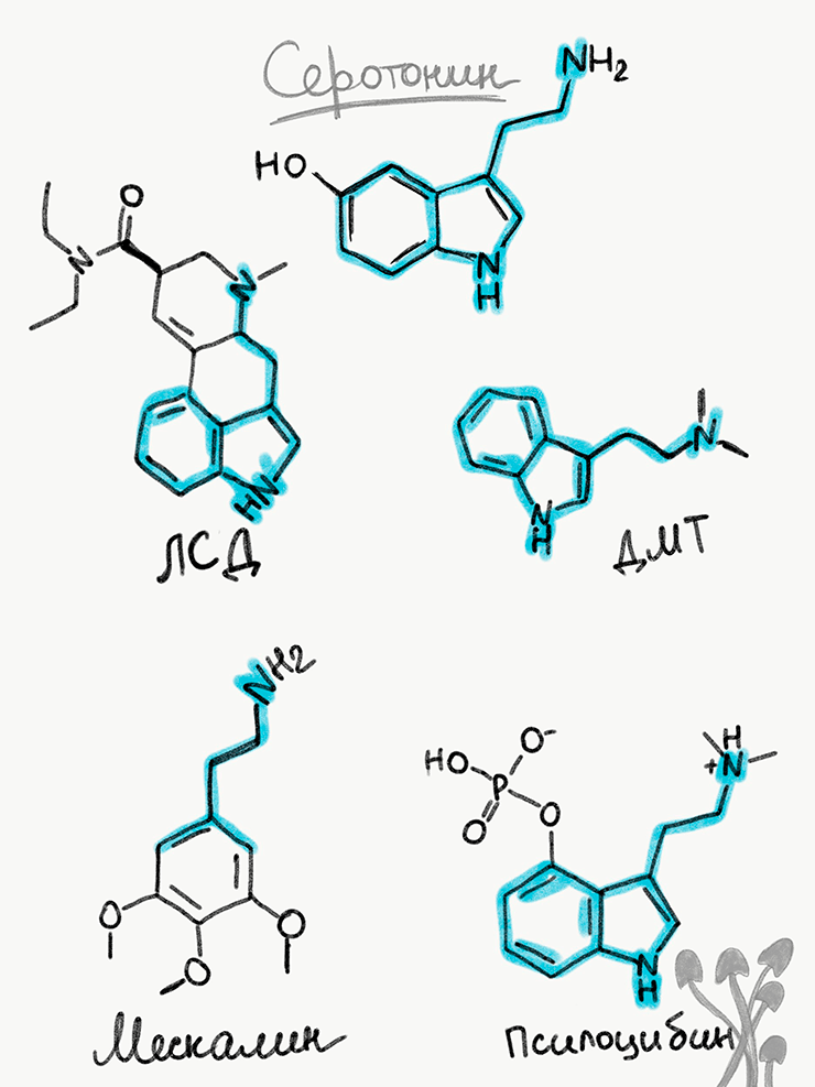 Структурные формулы «классических психоделиков»