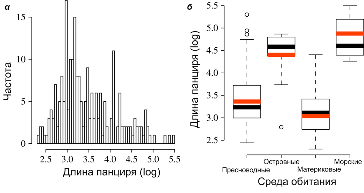 Длина панциря