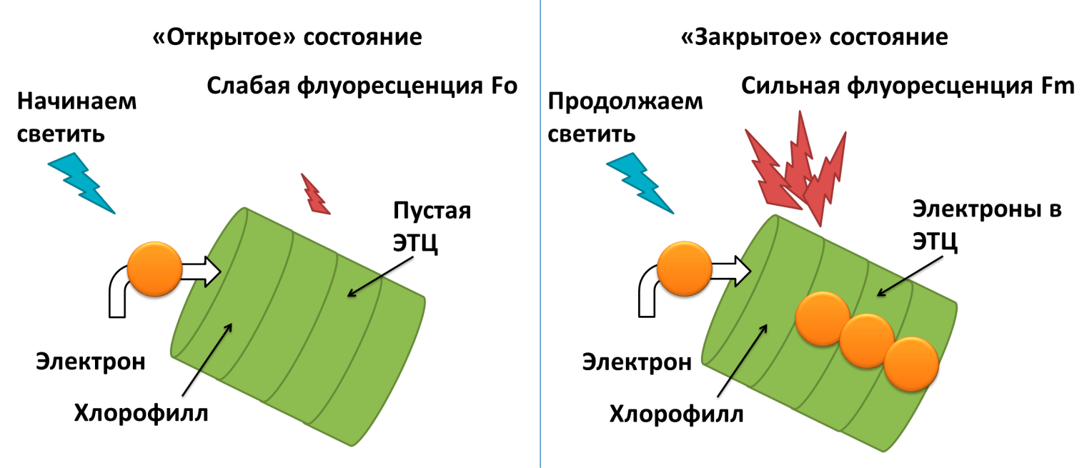 Упрощенный принцип работы прибора