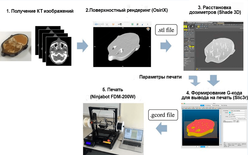 Создание фантома головы человека