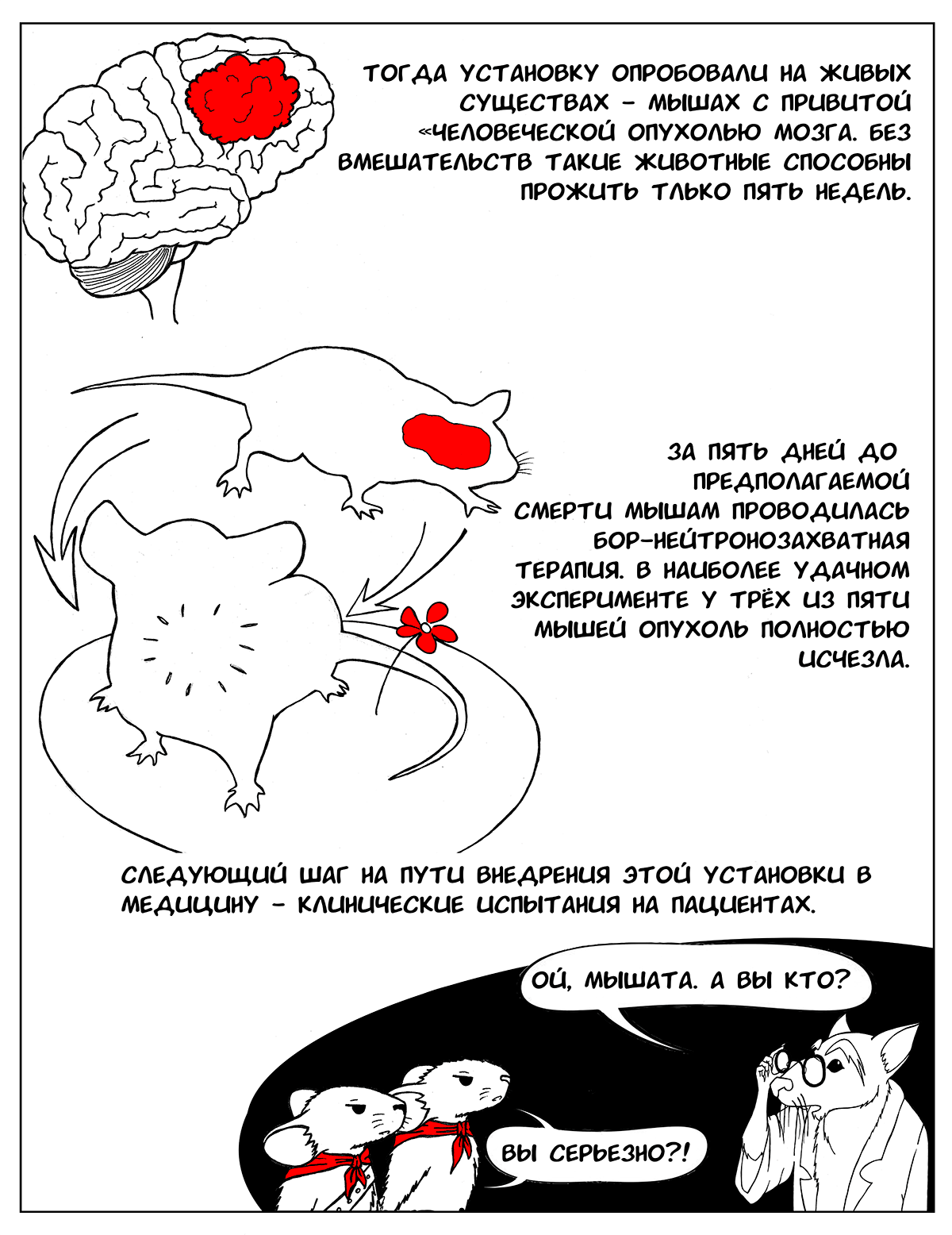 Ядерный взрыв в пределах клетки